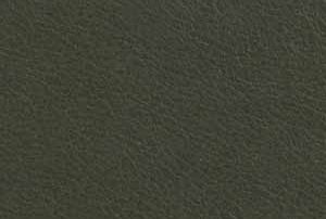 Lederbezug Nature-Green